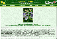 Веб-сайт компании «ЛекФарма «Адонис»